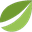 Bitfinex
