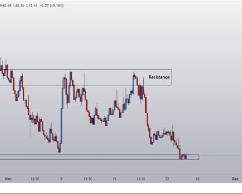 доминация биткойна 24.11